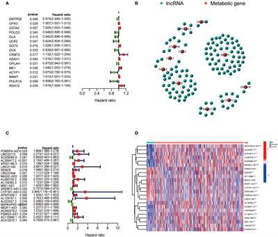 The value of metabolic LncRNAs in predicting prognosis and immunotherapy efficacy of gastric cancer